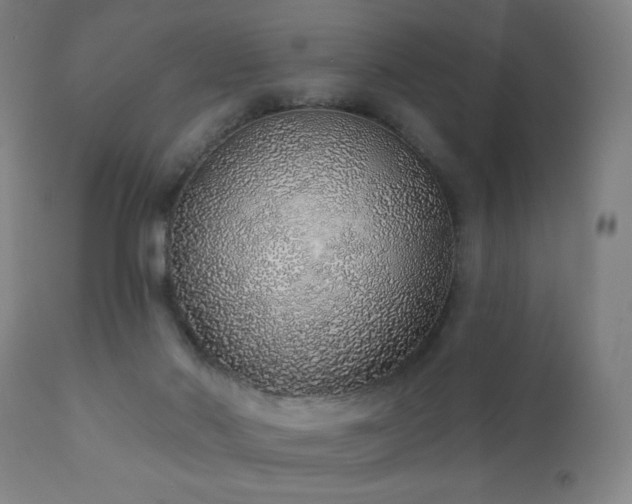 X0000110980022200906191414