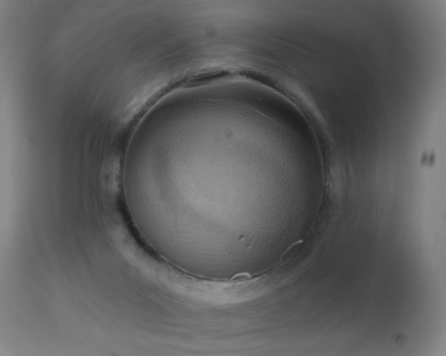 X0000110980023200906191414