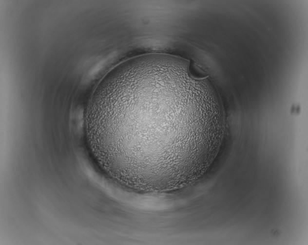 X0000110980024200906191414