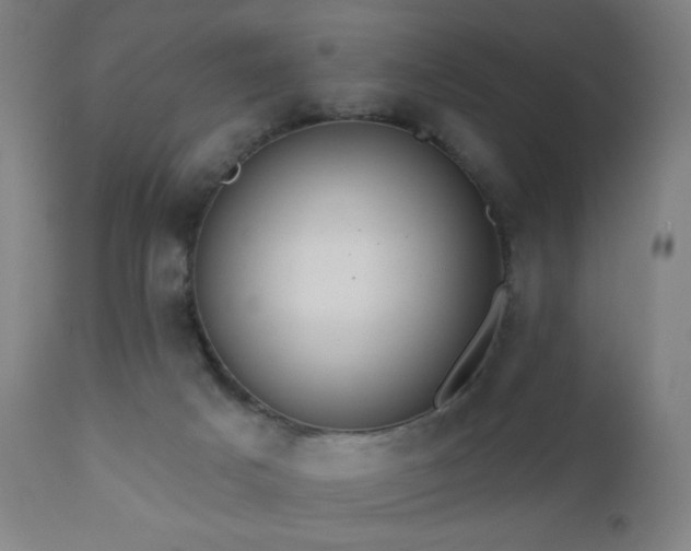 X0000110980025200906191414