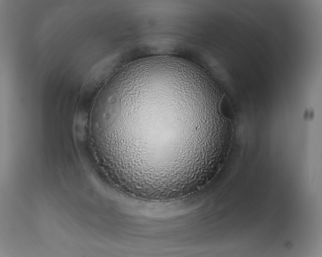 X0000110980026200906191414