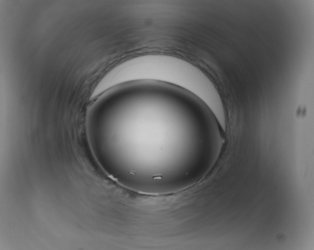 X0000110980029200906191414