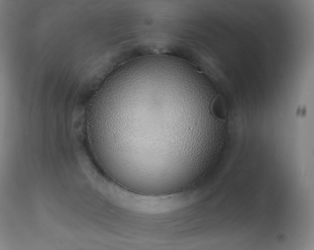 X0000110980030200906191414