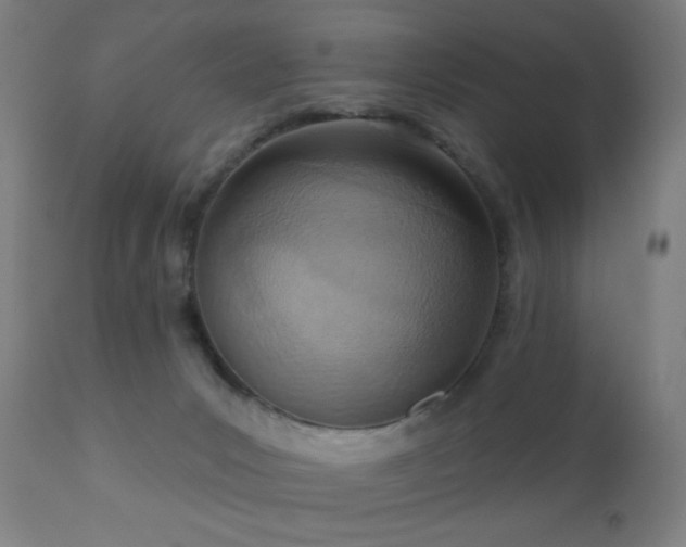 X0000110980031200906191414