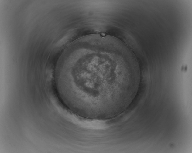 X0000110980032200906191414