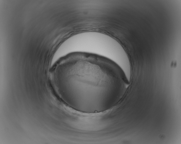 X0000110980035200906191414