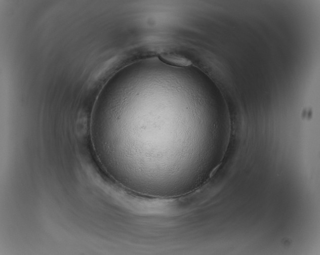 X0000110980036200906191414