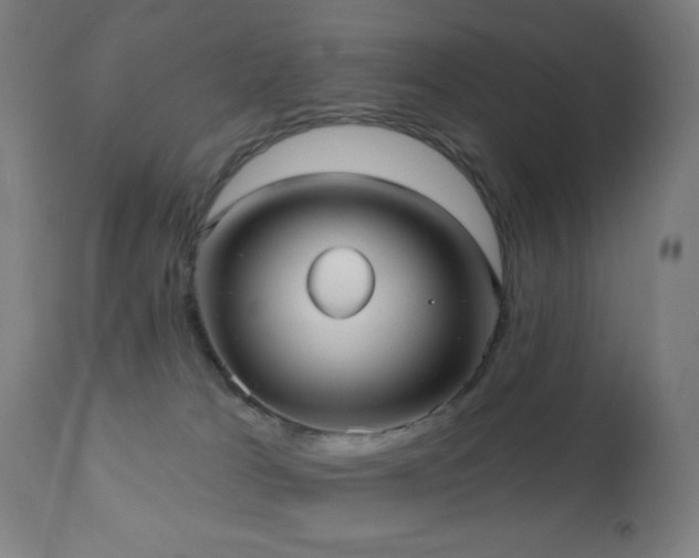 X0000110980037200906191414