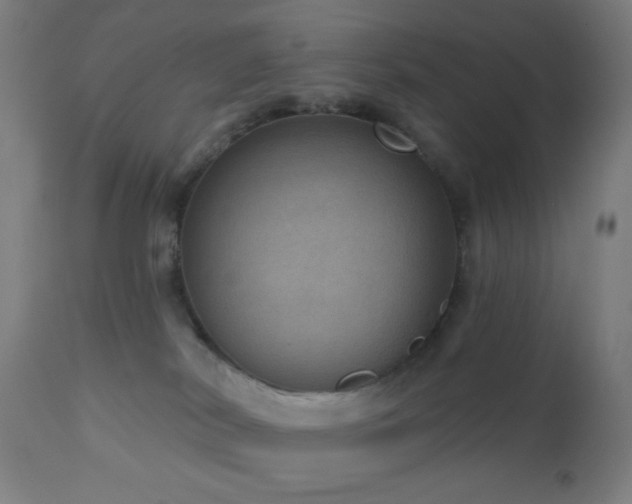 X0000110980038200906191414