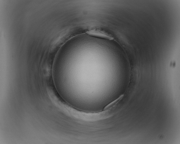 X0000110980039200906191414