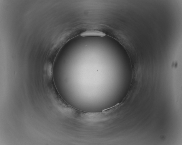 X0000110980041200906191414