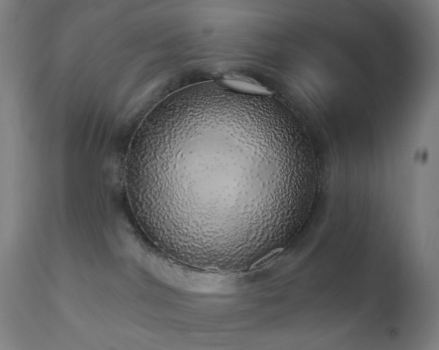 X0000110980044200906191414