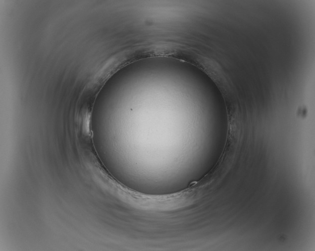 X0000110980046200906191414