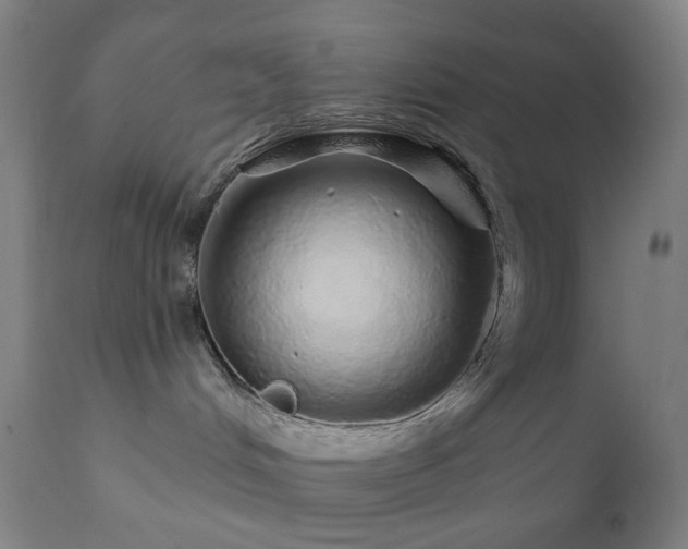 X0000110980048200906191414