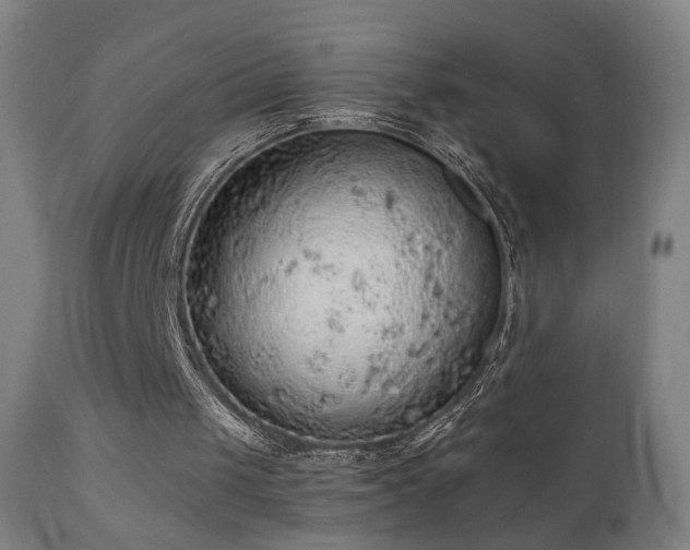 X0000110980049200906191413