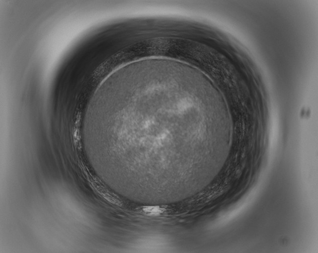 X0000110980050200906191413