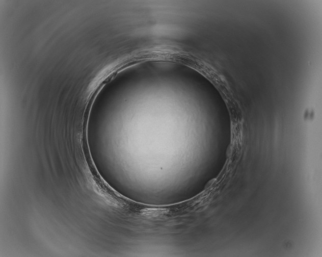 X0000110980051200906191413