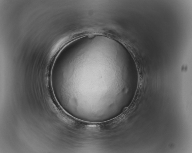 X0000110980053200906191413