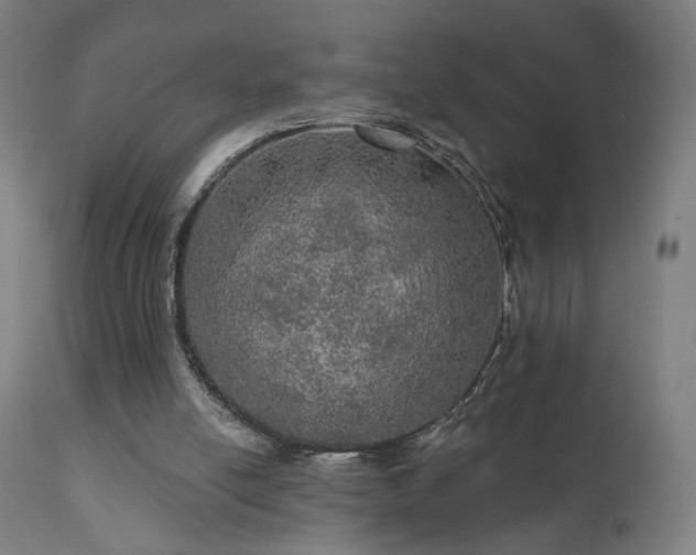 X0000110980054200906191413