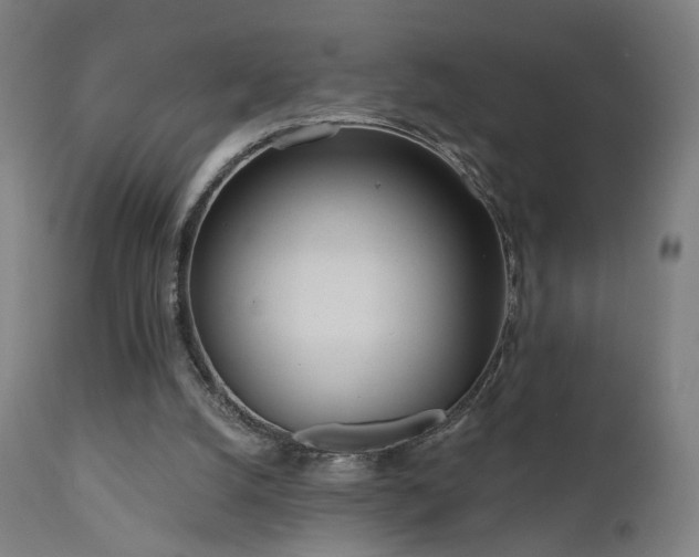 X0000110980056200906191413