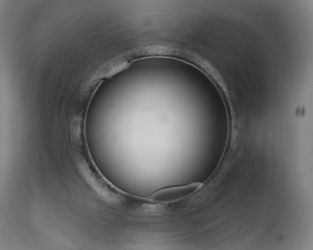 X0000110980057200906191413