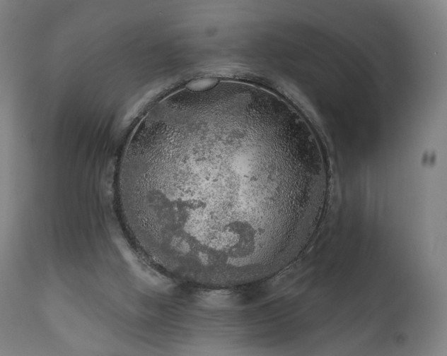 X0000110980058200906191414