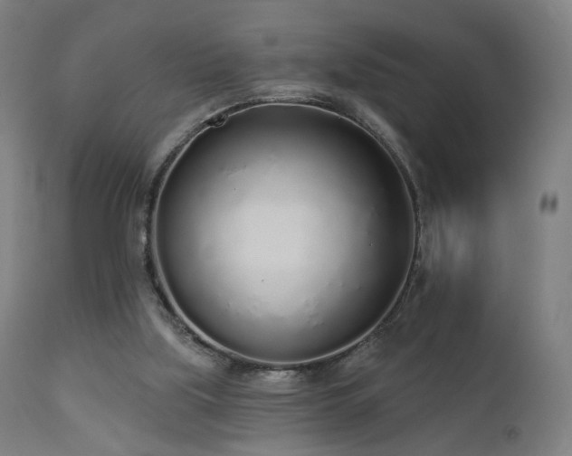 X0000110980059200906191414