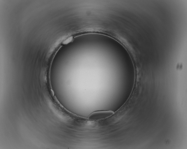 X0000110980060200906191414