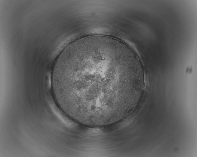 X0000110980061200906191414