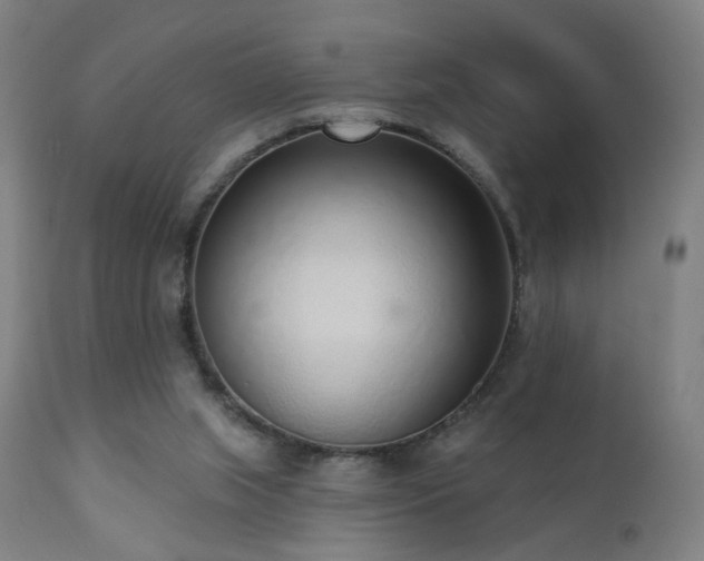 X0000110980063200906191414