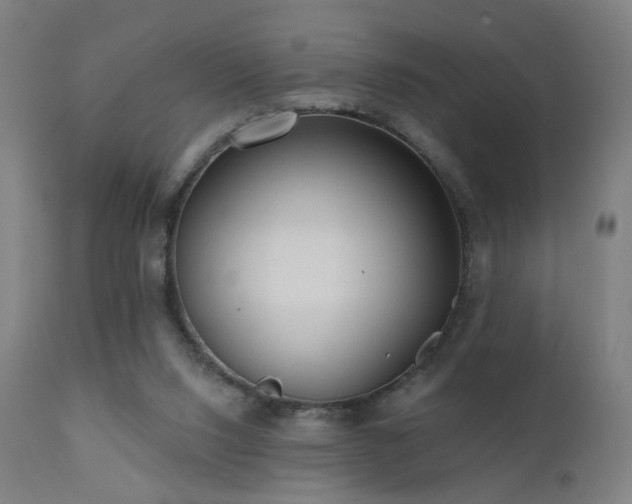 X0000110980064200906191414