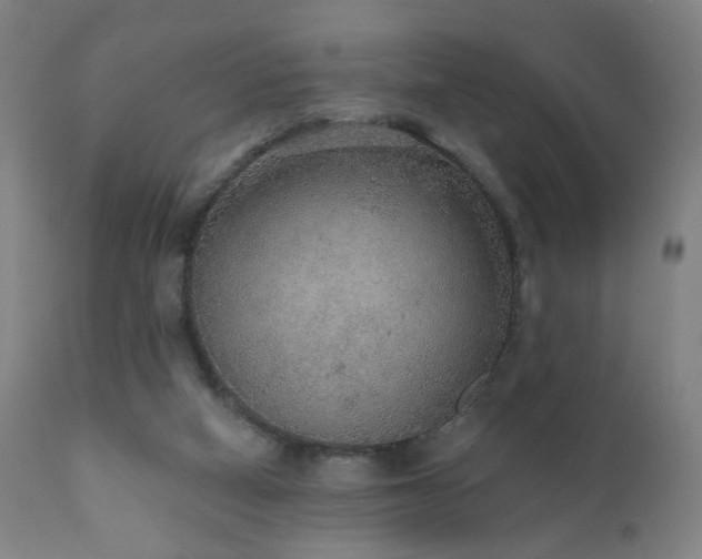 X0000110980066200906191414