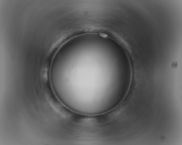 X0000110980067200906191414