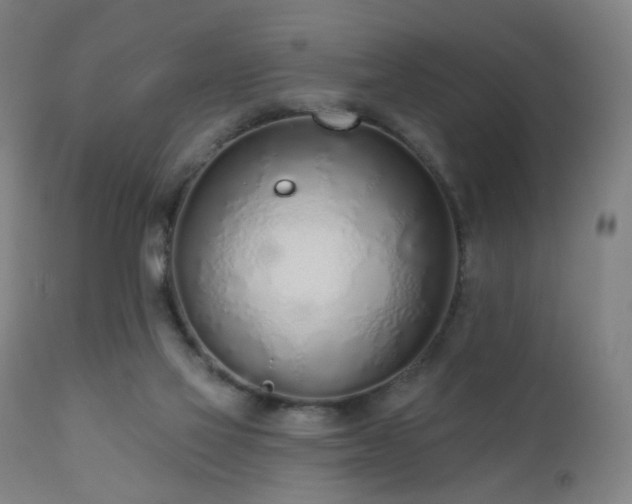 X0000110980069200906191414