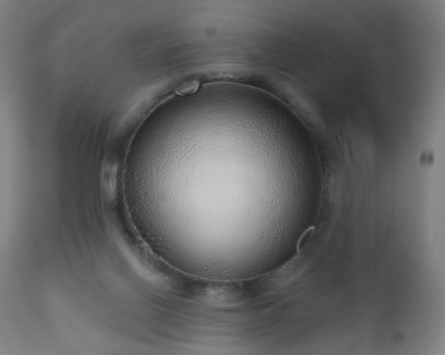 X0000110980070200906191414