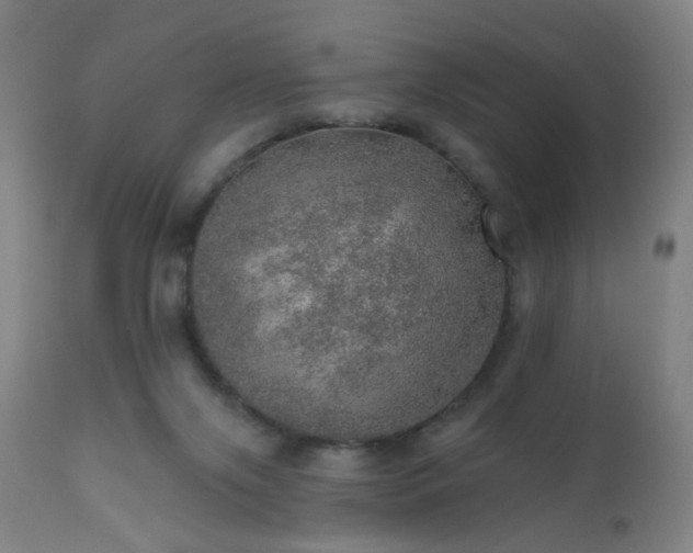 X0000110980071200906191414