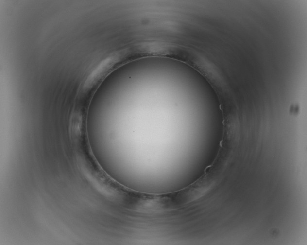 X0000110980072200906191414