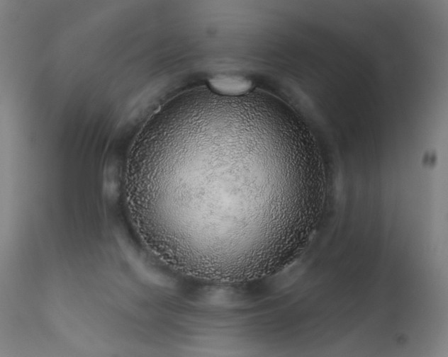 X0000110980074200906191414