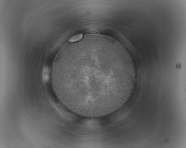 X0000110980075200906191414