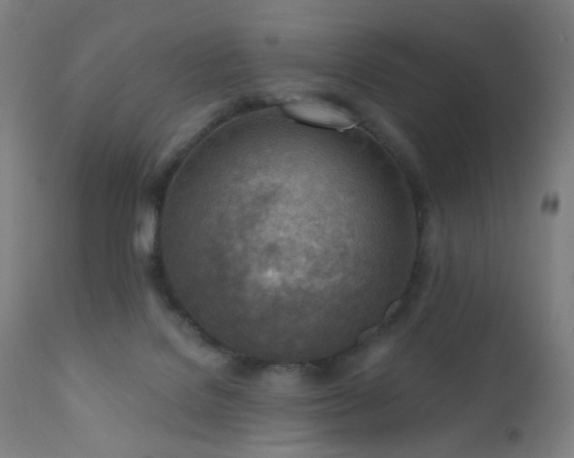 X0000110980076200906191414