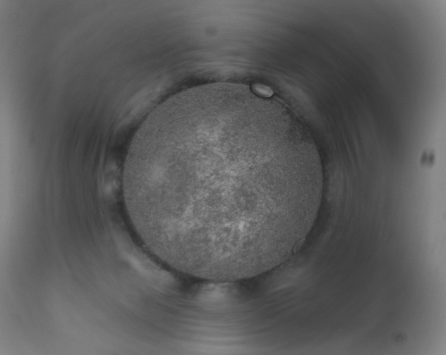 X0000110980077200906191414