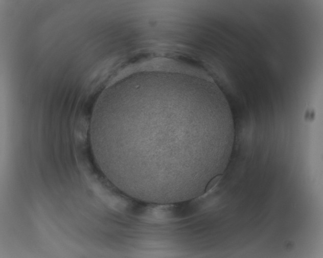 X0000110980078200906191414