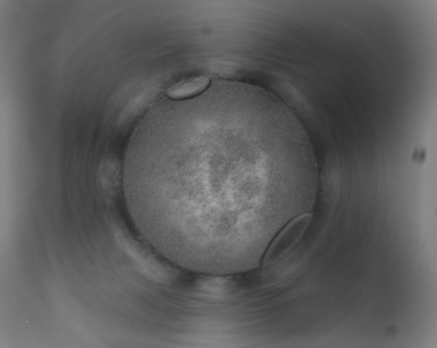 X0000110980079200906191414