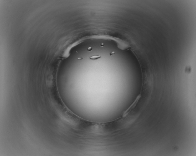 X0000110980080200906191414