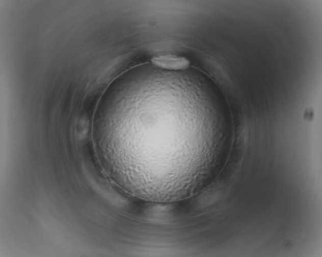 X0000110980081200906191414