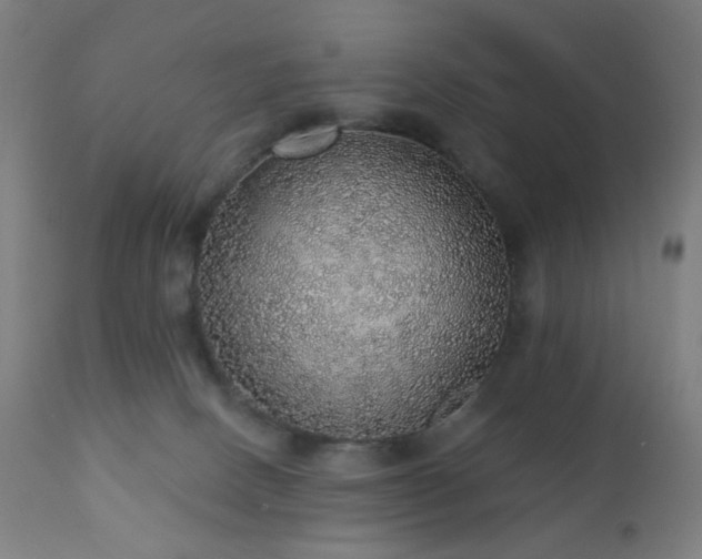 X0000110980082200906191414