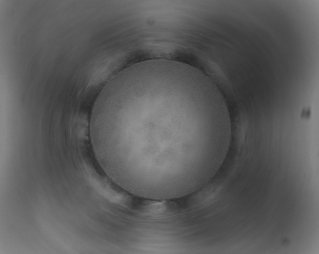 X0000110980083200906191414