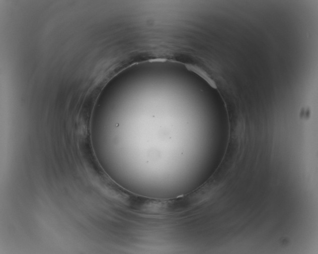 X0000110980084200906191414