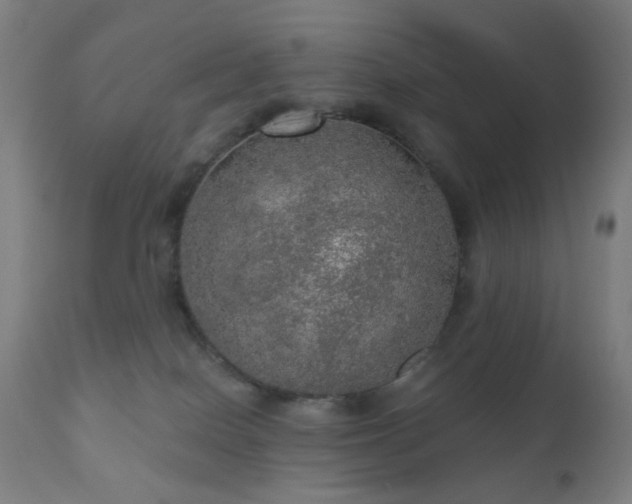 X0000110980086200906191414