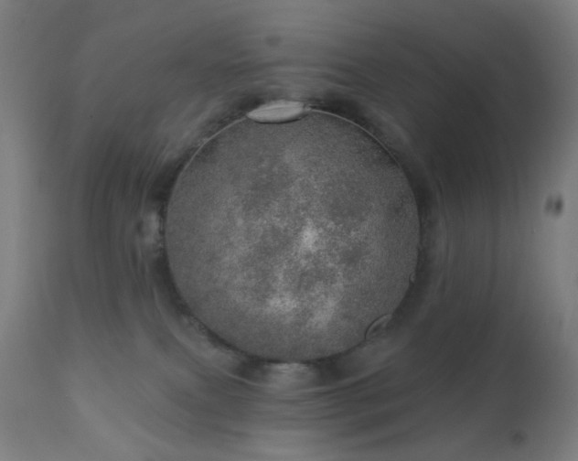 X0000110980087200906191414